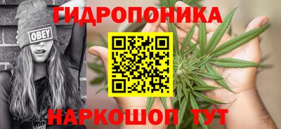метадон Партизанск