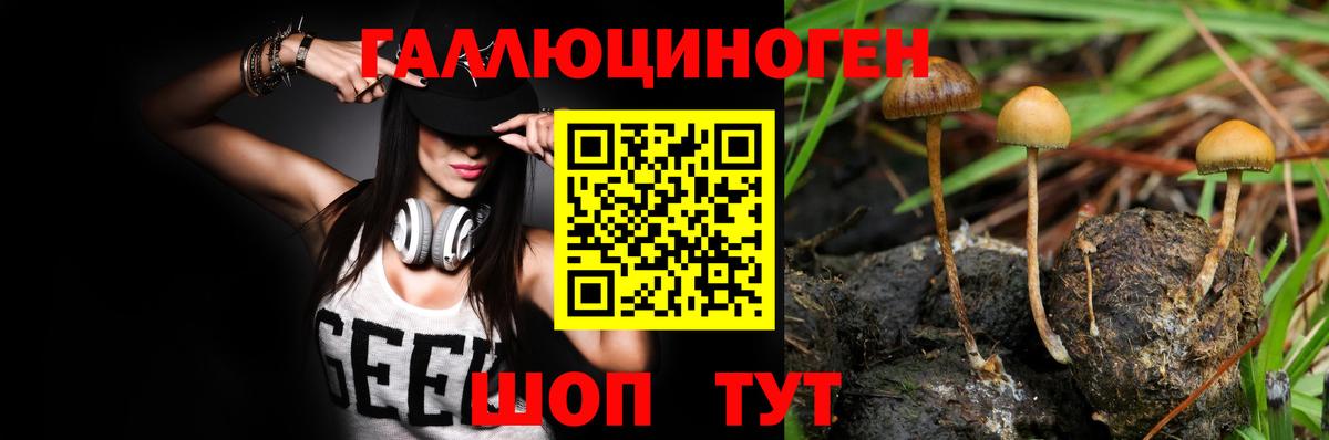 Галлюциногенные грибы Psilocybe  Вход с VPN  Петропавловск-Камчатский 
