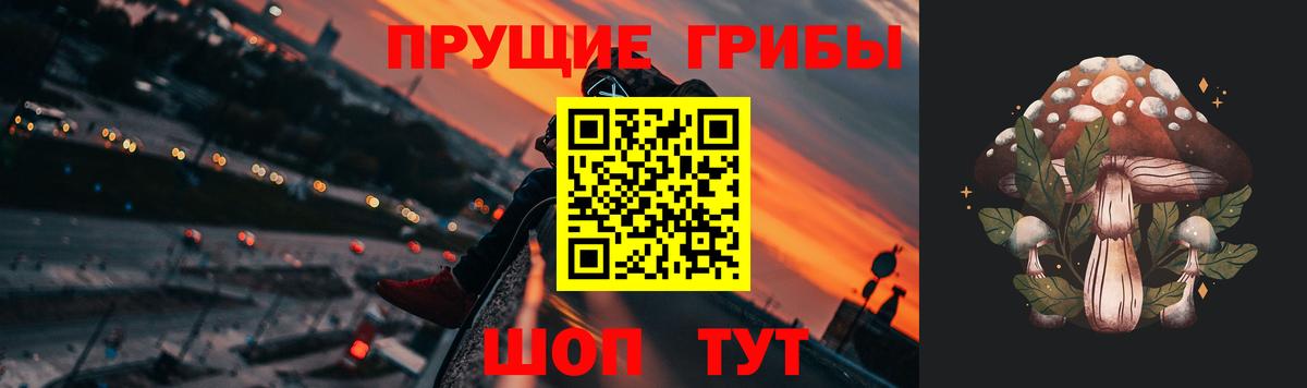 Галлюциногенные грибы Magic Shrooms Петропавловск-Камчатский
